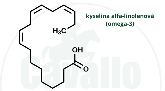 kyselina-alfa-linolenova